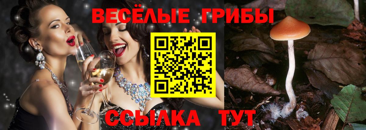 Галлюциногенные грибы Cubensis  Вход с VPN  Шелехов 